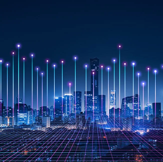 Digital Infrastructure Services Systems Limited